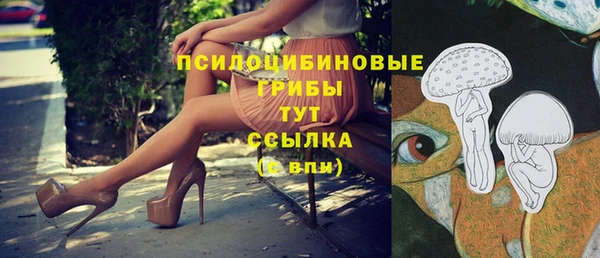 эйфоретик Вяземский