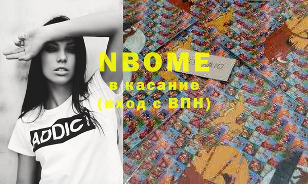 эйфоретик Вяземский