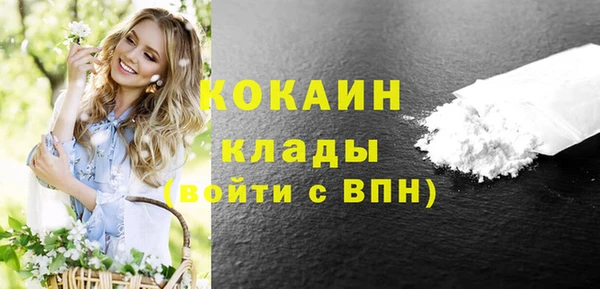 эйфоретик Вяземский