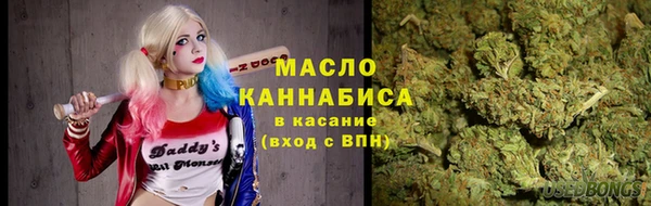 эйфоретик Вяземский