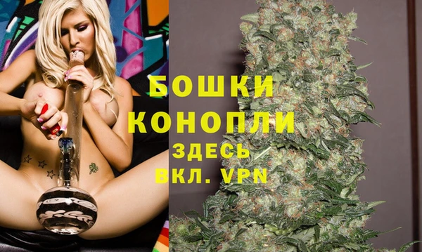 эйфоретик Вяземский