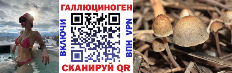 Псилоцибиновые грибы прущие грибы  хочу наркоту  Железногорск 