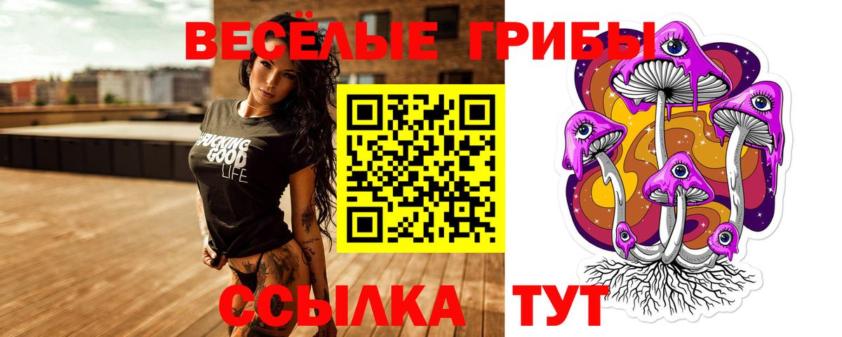Железногорск  Галлюциногенные грибы GOLDEN TEACHER  Вход с VPN  Галлюциногенные грибы MAGIC MUSHROOMS 